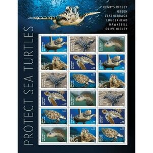 90 Protect Sea Turtles Forever Postage Stamps USPS Wedding Invitations 2024